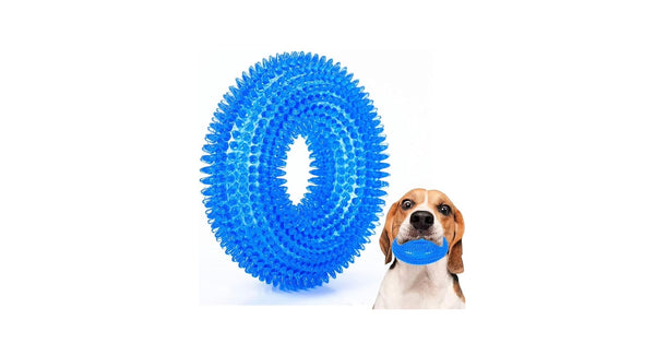 Furry Finds LED Spine Ring – Light-Up Chew & Play Toy