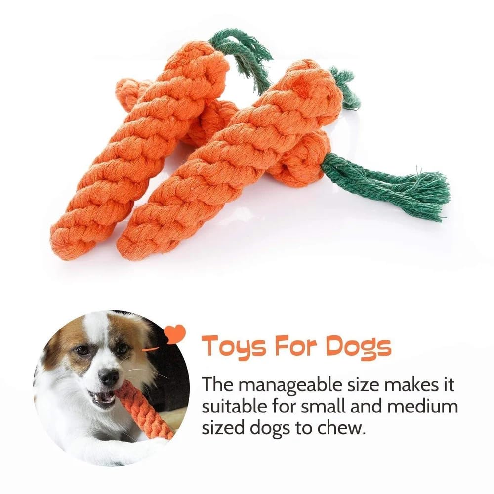 Furry Finds Carrot Chew Toy, Durable & Fun for Pets