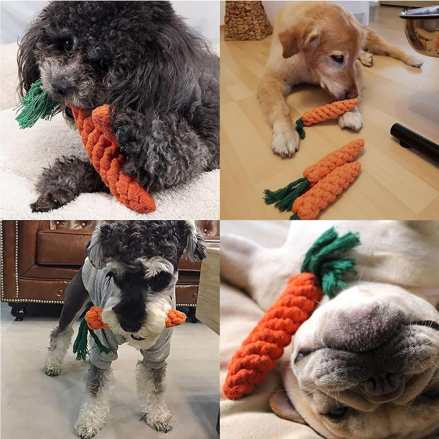 Furry Finds Carrot Chew Toy, Durable & Fun for Pets